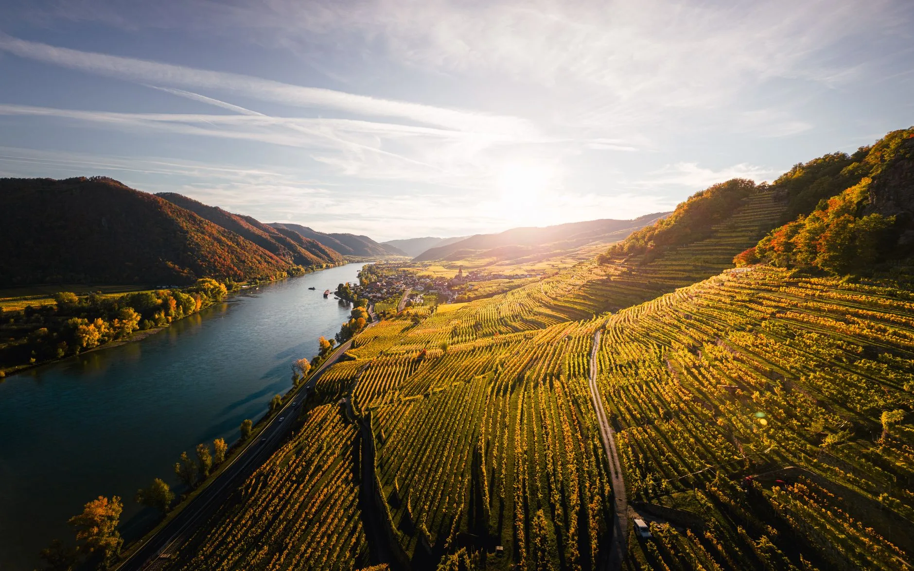 Automne : septembre et octobre, vignobles et couleurs