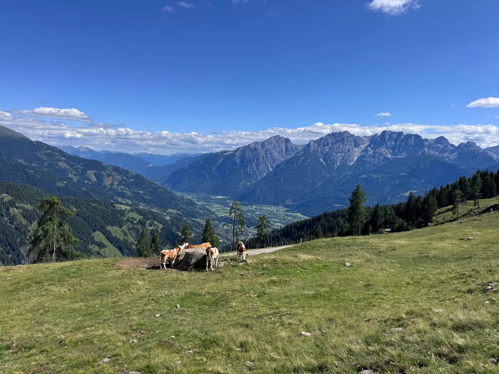 Paysage alpin autrichien avec montagnes et prairies verdoyantes